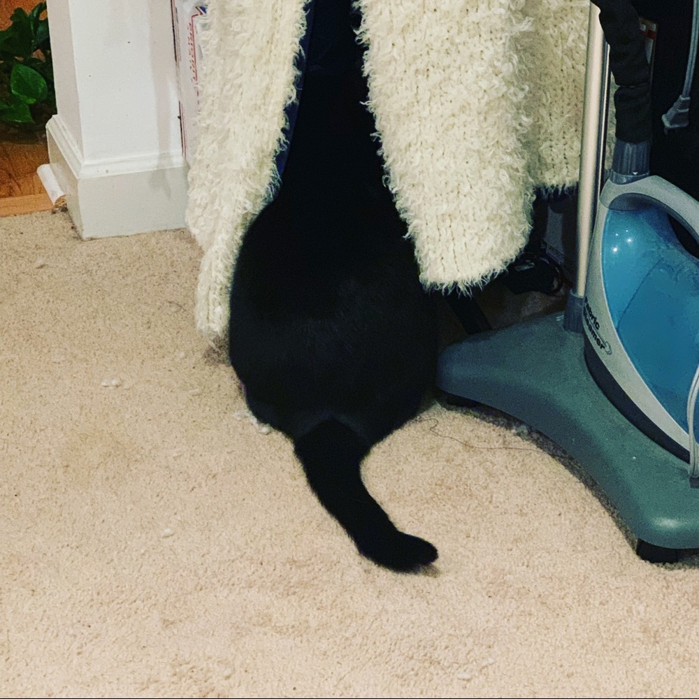 TRADES WELCOMED FOR FREE PEOPLE ONLY! Shoes too!